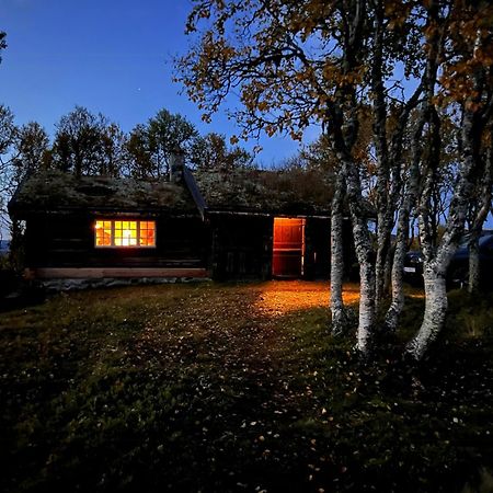 Traditional Log Cabin At Vierli Villa Rauland Exterior photo